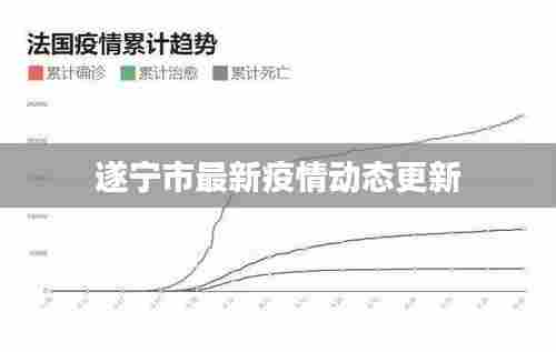 遂宁市最新疫情动态更新