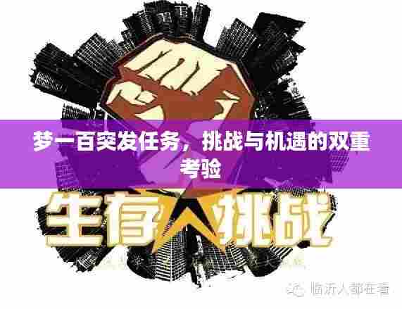 梦一百突发任务，挑战与机遇的双重考验