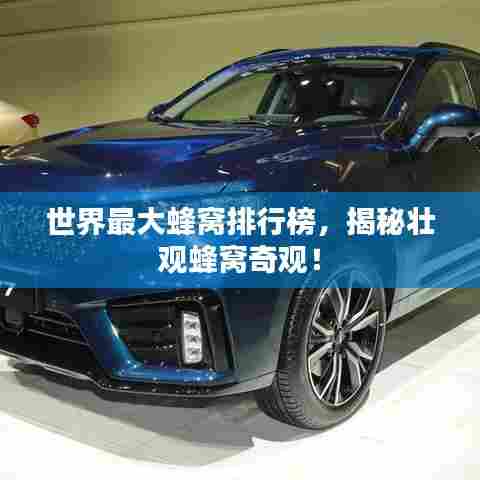 世界最大蜂窝排行榜,揭秘壮观蜂窝奇观!