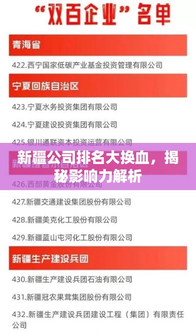 新疆公司排名大换血，揭秘影响力解析