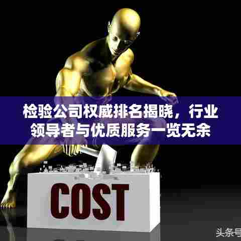 检验公司权威排名揭晓，行业领导者与优质服务一览无余