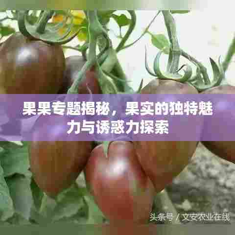 果果专题揭秘,果实的独特魅力与诱惑力探索