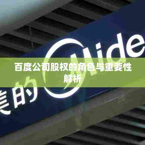 百度公司股权的角色与重要性解析