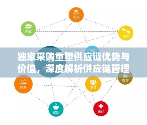 独家采购重塑供应链优势与价值,深度解析供应链管理革新之道