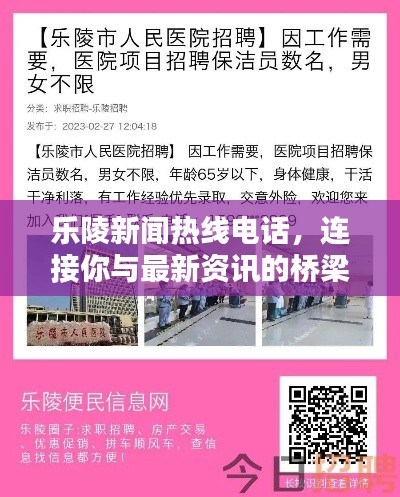 乐陵新闻热线电话，连接你与最新资讯的桥梁！