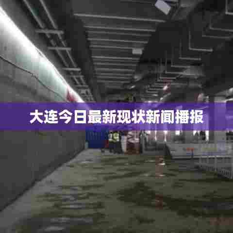 没张倒置 第6页