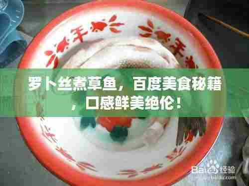 罗卜丝煮草鱼，百度美食秘籍，口感鲜美绝伦！