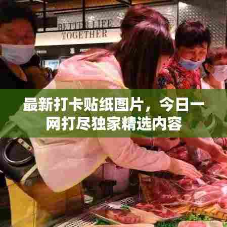 最新打卡贴纸图片,今日一网打尽独家精选内容