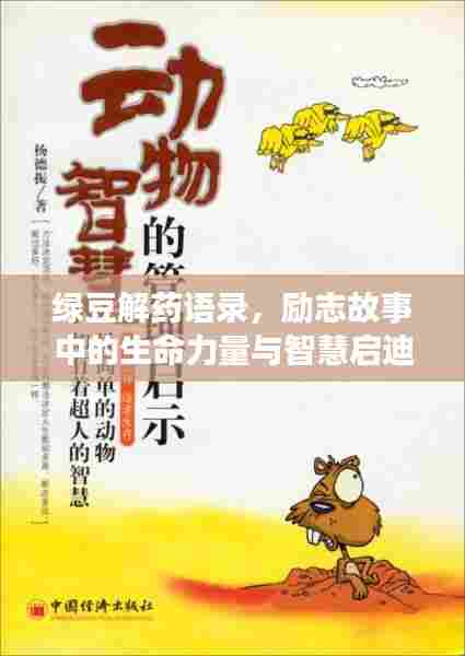绿豆解药语录,励志故事中的生命力量与智慧启迪