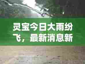 灵宝今日大雨纷飞,最新消息新闻速览