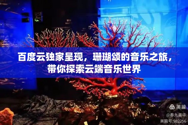 百度云独家呈现,珊瑚颂的音乐之旅,带你探索云端音乐世界