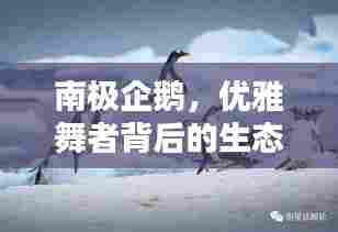 飞蛾扑火 第5页