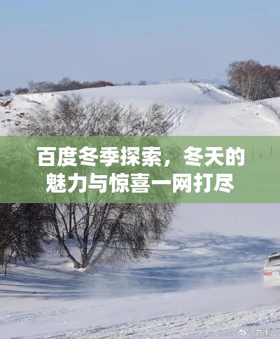 百度冬季探索,冬天的魅力与惊喜一网打尽