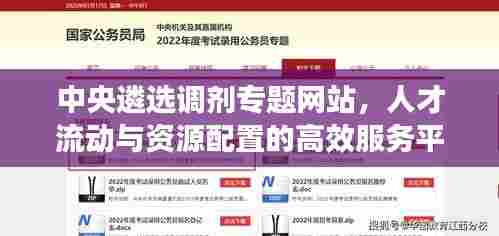 中央遴选调剂专题网站，人才流动与资源配置的高效服务平台