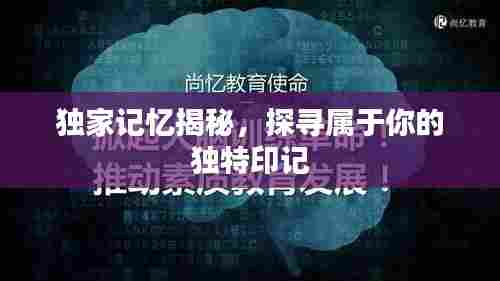 独家记忆揭秘，探寻属于你的独特印记