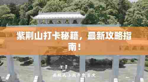 紫荆山打卡秘籍，最新攻略指南！