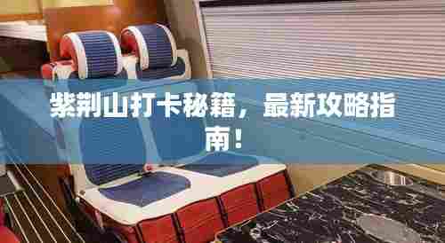 紫荆山打卡秘籍,最新攻略指南!