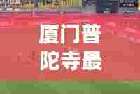 厦门普陀寺最新动态,今日头条新闻速递