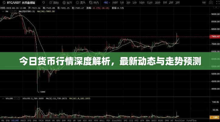 今日货币行情深度解析，最新动态与走势预测