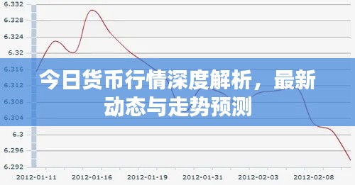 今日货币行情深度解析,最新动态与走势预测