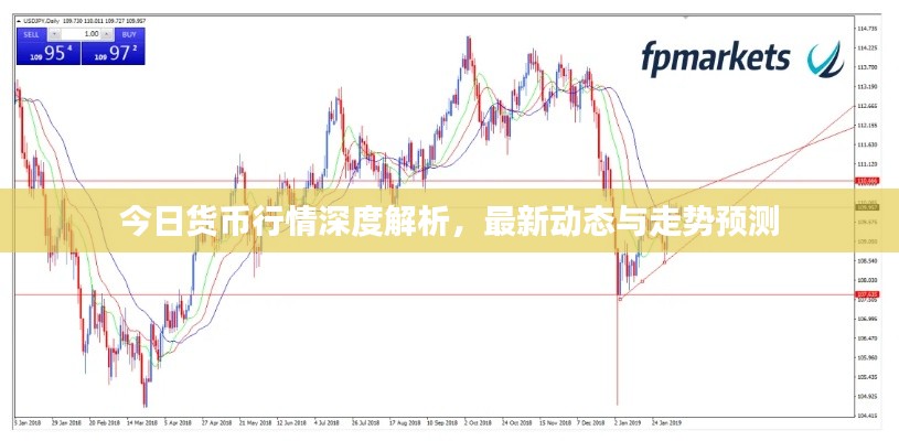 今日货币行情深度解析,最新动态与走势预测