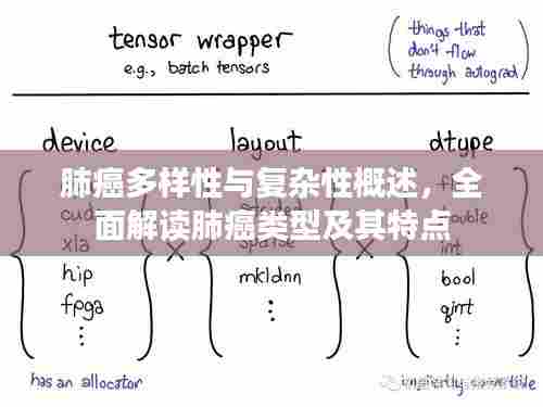 肺癌多样性与复杂性概述，全面解读肺癌类型及其特点