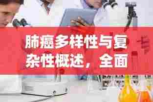 肺癌多样性与复杂性概述,全面解读肺癌类型及其特点