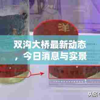 双沟大桥最新动态,今日消息与实景图片全解析