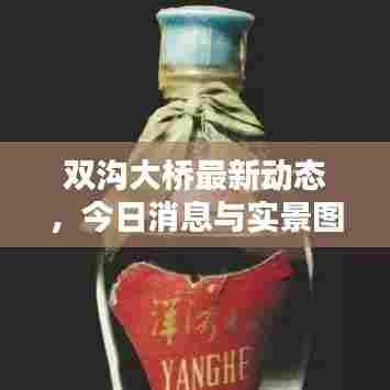 双沟大桥最新动态，今日消息与实景图片全解析