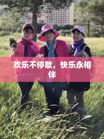 欢乐不停歇,快乐永相伴