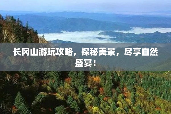 长冈山游玩攻略,探秘美景,尽享自然盛宴!