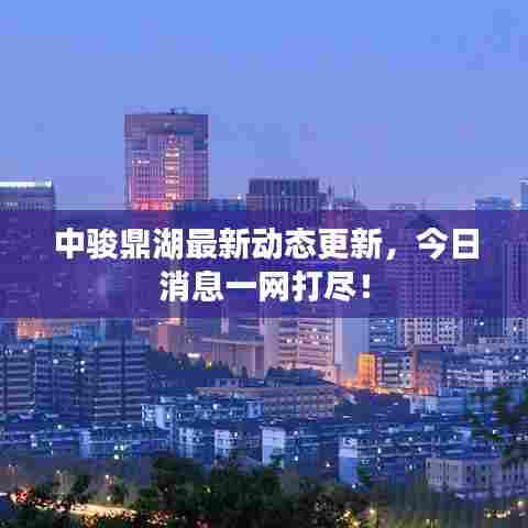 中骏鼎湖最新动态更新，今日消息一网打尽！