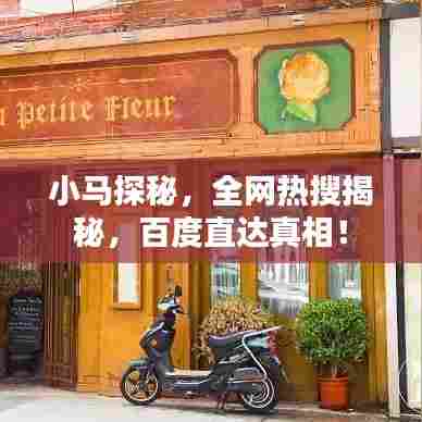 小马探秘,全网热搜揭秘,百度直达真相!