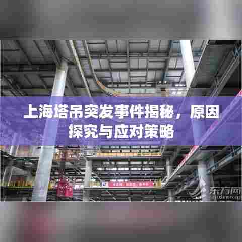 上海塔吊突发事件揭秘，原因探究与应对策略