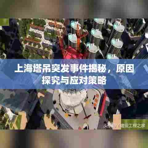 上海塔吊突发事件揭秘,原因探究与应对策略