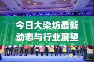今日大染坊最新动态与行业展望揭秘