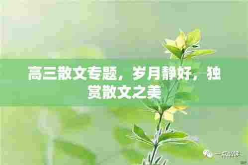 高三散文专题,岁月静好,独赏散文之美