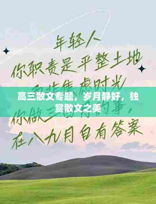 高三散文专题,岁月静好,独赏散文之美