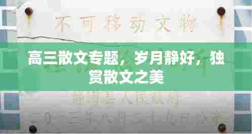 高三散文专题,岁月静好,独赏散文之美
