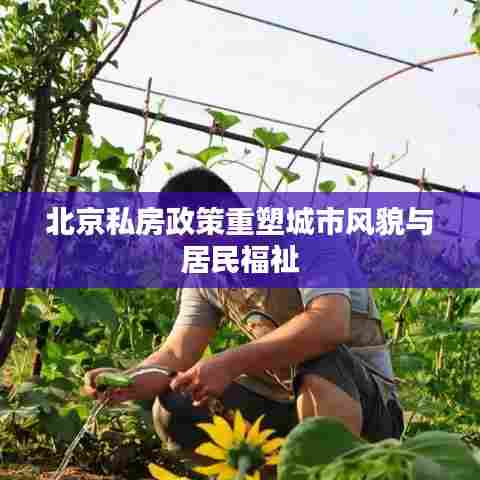 北京私房政策重塑城市风貌与居民福祉