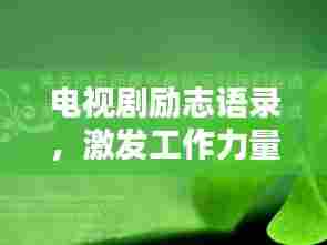 电视剧励志语录，激发工作力量的箴言妙语