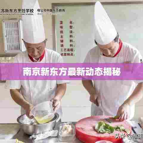 南京新东方最新动态揭秘