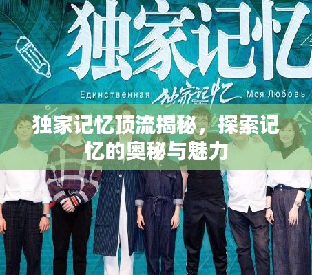 独家记忆顶流揭秘，探索记忆的奥秘与魅力
