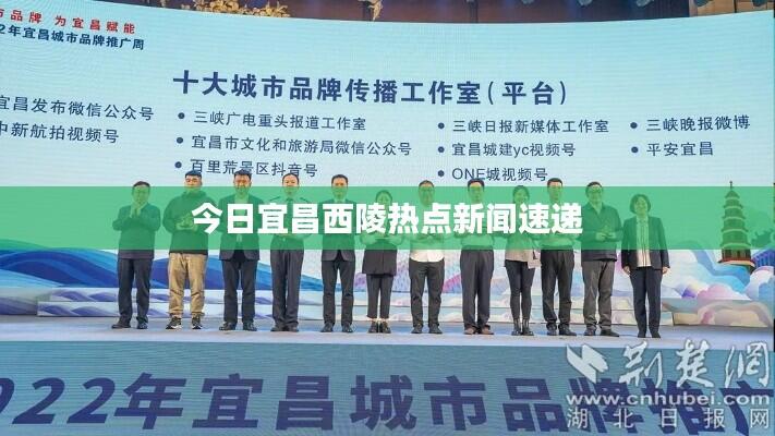 今日宜昌西陵热点新闻速递