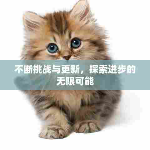 不断挑战与更新，探索进步的无限可能