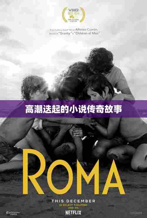 高潮迭起的小说传奇故事