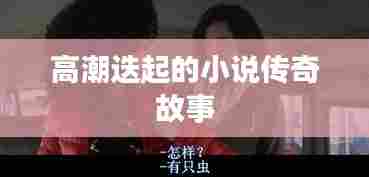 高潮迭起的小说传奇故事