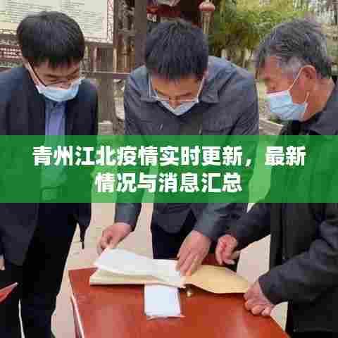 青州江北疫情实时更新,最新情况与消息汇总
