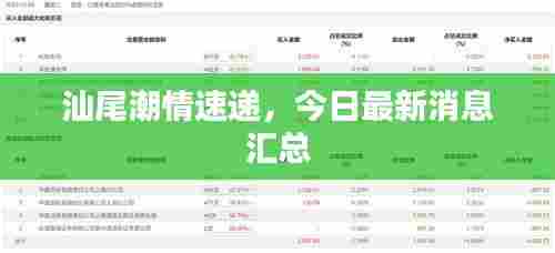 汕尾潮情速递,今日最新消息汇总