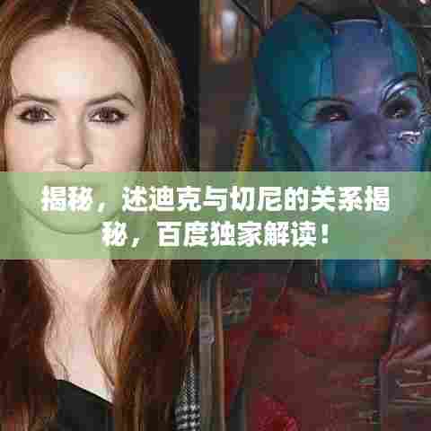 揭秘,述迪克与切尼的关系揭秘,百度独家解读!